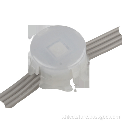 IP67 Rated Patented Wesh Screen LED Point Lights for Flexible Landscape Installation